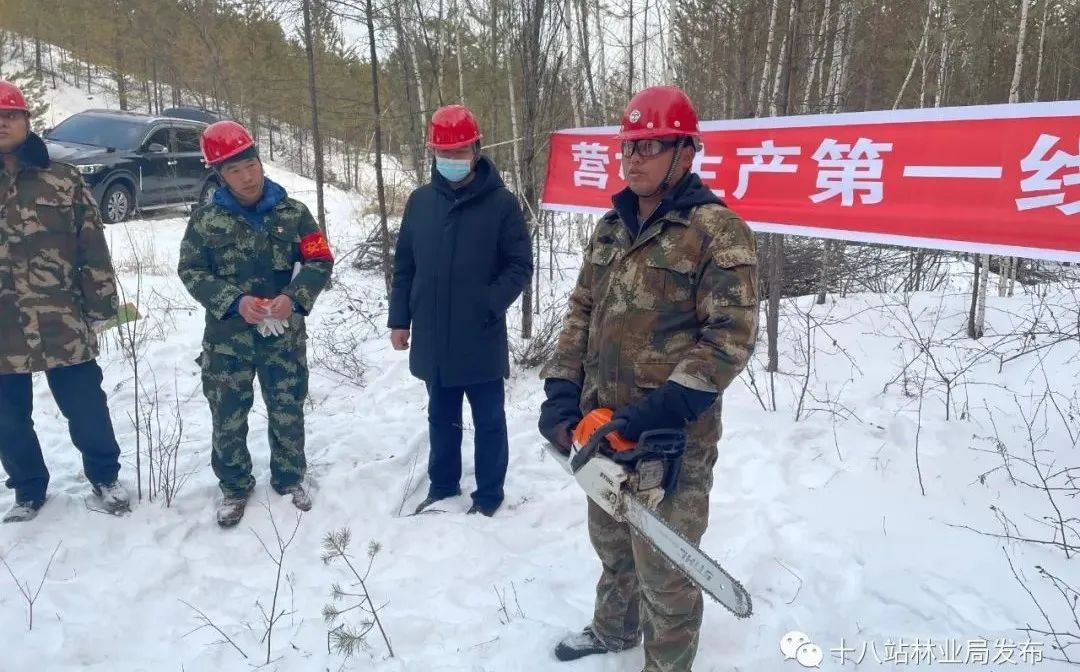 查班河林场深入生产一线 营林安全教育培训与网格包保管理落地有声
